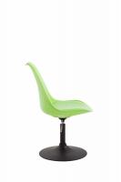 4er Set Esszimmerstühle Maverick B Kunststoff grün 