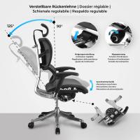 Bürostuhl Norfolk Ergonomic grau Bürostuhl Norfolk Ergonomic grau