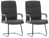 2er Set Stühle Caro  grau